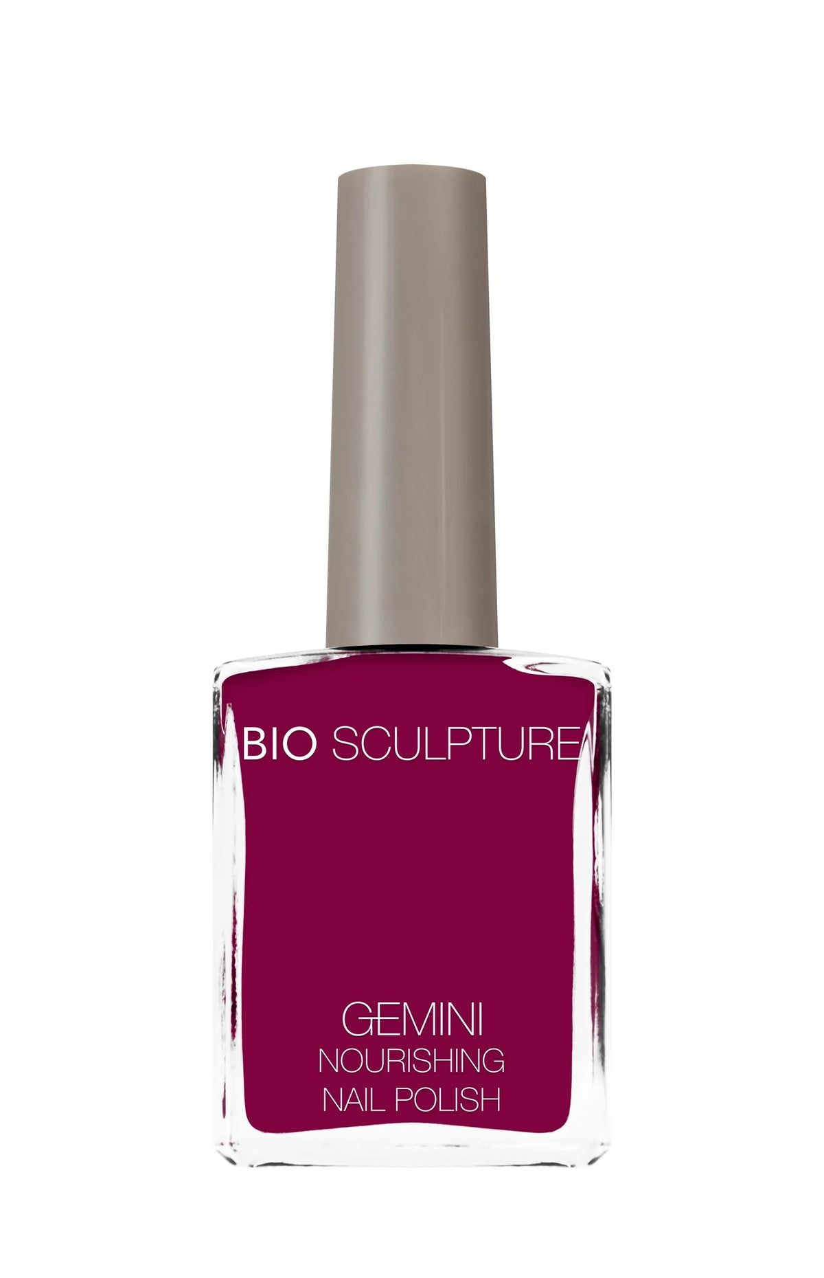 GEMINI 275 Prancing Protea